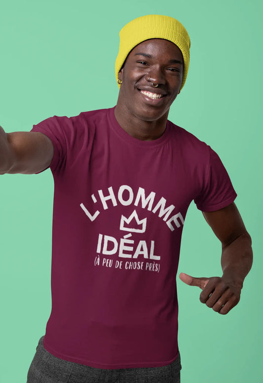 Men's Vintage Tee Shirt Graphic T shirt L'Homme Idéal Burgundy