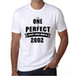 2002 No One Is Perfect White Mens Short Sleeve Round Neck T-Shirt 00093 - White / S - Casual