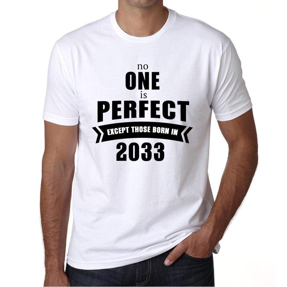 2033 No One Is Perfect White Mens Short Sleeve Round Neck T-Shirt 00093 - White / S - Casual