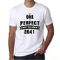 2041 No One Is Perfect White Mens Short Sleeve Round Neck T-Shirt 00093 - White / S - Casual