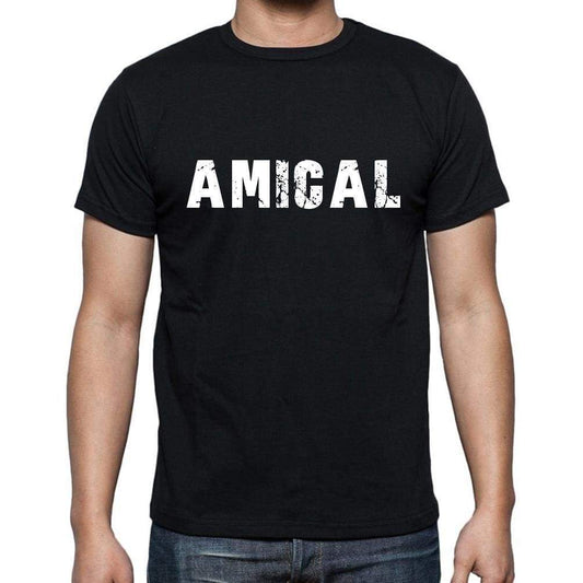 Amical French Dictionary Mens Short Sleeve Round Neck T-Shirt 00009 - Casual